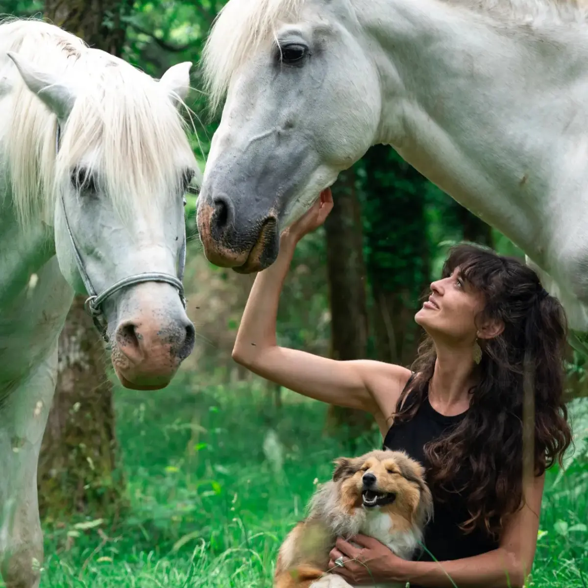médiation animal avec les chevaux